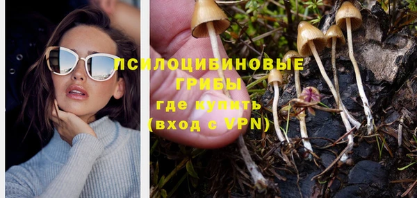 индика Алексеевка