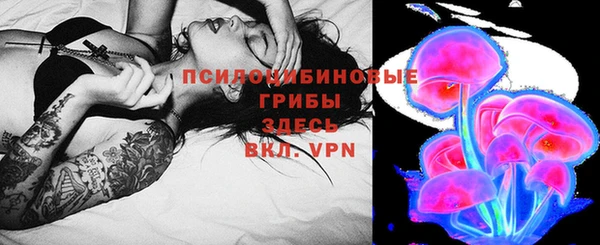 твердый Алзамай