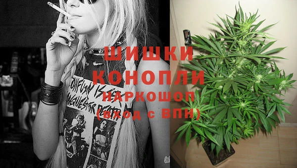 твердый Алзамай
