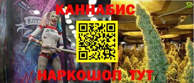 шишки Ставрополь