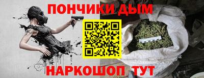 шишки Ставрополь