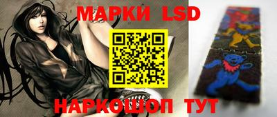 шишки Ставрополь
