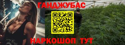шишки Ставрополь