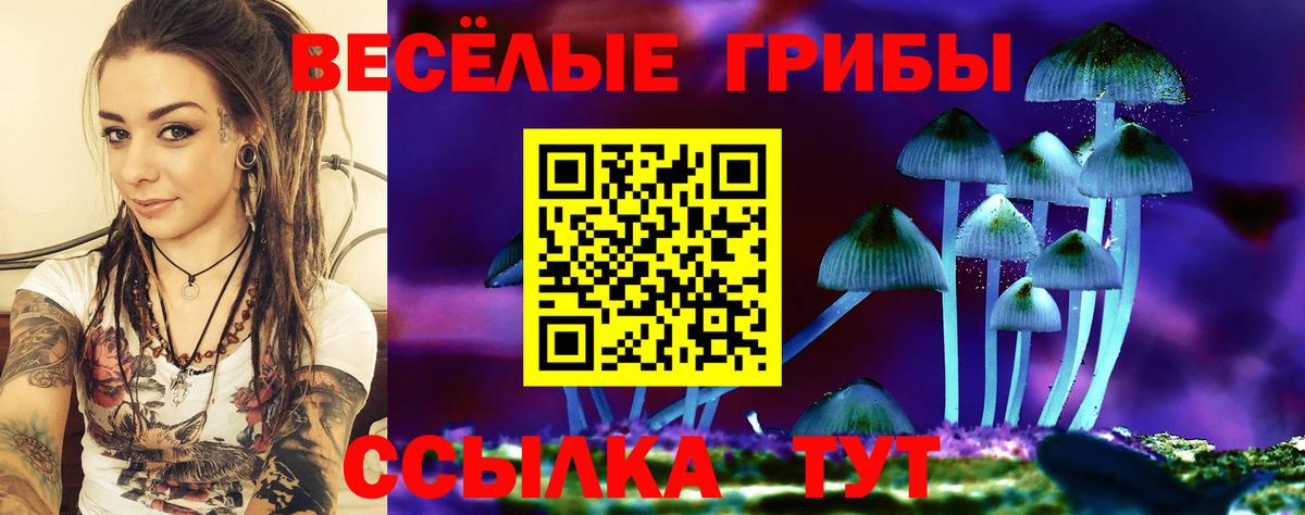 Темрюк  Псилоцибиновые грибы Psilocybe  Вход с VPN 